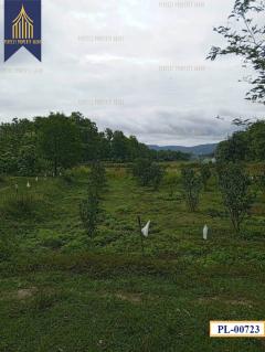 ที่ดิน อำเภอ เถิน จังหวัด ลำปาง 35 ไร่ติดถนนสายเอเชียและแม่น้ำวังพัฒนา-202511051205541762319154217.jpg