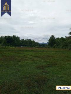 ที่ดิน อำเภอ เถิน จังหวัด ลำปาง 35 ไร่ติดถนนสายเอเชียและแม่น้ำวังพัฒนา-202511051205541762319154775.jpg