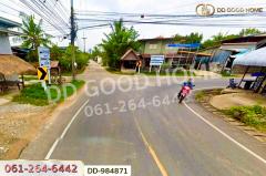 DD-984871 ที่ดินหนองขาม 118 ตร.ว. ร้อยเอ็ด ใกล้สำนักงานเทศบาลเมืองร้อยเอ็ด-202511051348311762325311060.jpg