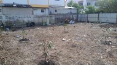 โอกาสดีขายที่ดินแปลงสวย100 ตร.ว. ไอยรา ตลาดไท ซอยฟินิกซ์ปาร์ค6 ราคาดีมาก-202511051408451762326525965.jpg