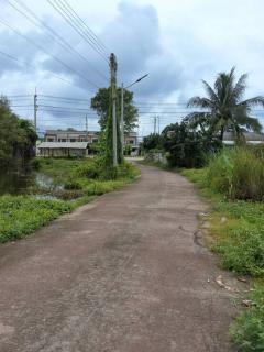 ขายบ้านพร้อมสวน 2 ไร่ 2 งาน 20 ตร.ว. ทำเลทองใกล้ศูนย์ราชการปราจีนบุรี บรรยากาศร่มรื่น เจ้าของขายเอง-202511051410381762326638763.jpg