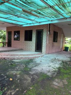 ขายบ้านพร้อมสวน 2 ไร่ 2 งาน 20 ตร.ว. ทำเลทองใกล้ศูนย์ราชการปราจีนบุรี บรรยากาศร่มรื่น เจ้าของขายเอง-202511051410411762326641557.jpg