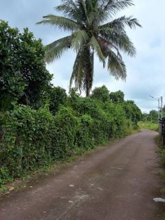 ขายบ้านพร้อมสวน 2 ไร่ 2 งาน 20 ตร.ว. ทำเลทองใกล้ศูนย์ราชการปราจีนบุรี บรรยากาศร่มรื่น เจ้าของขายเอง-202511051410561762326656660.jpg