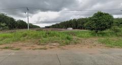 ขายที่ดินแม่น้ำคู้ซอย4 ปลวกแดง ระยอง 24 ไร่ 4 ตรว. ผังสีเหลือง ใกล้นิคมอุตสาหกรรม WHA อีสเทิร์น ซีบอร์ด 4 ปลวกแดง ระยอง