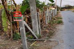 ที่ดินเปล่า เนื้อที่ 222.4 ตร.ว. บ้านหนองฮ่าง (แยกถนนพหลโยธิน ร.ร อนุบาลคำนวน) ถนนพหลโยธิน ตำบลหัวง้ม อำเภอพาน เชียงราย-202511051518441762330724438.jpg