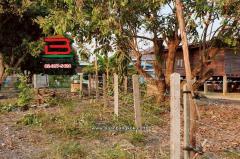 ที่ดินเปล่า เนื้อที่ 222.4 ตร.ว. บ้านหนองฮ่าง (แยกถนนพหลโยธิน ร.ร อนุบาลคำนวน) ถนนพหลโยธิน ตำบลหัวง้ม อำเภอพาน เชียงราย-202511051518461762330726053.jpg