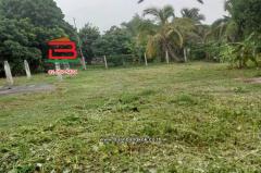 ที่ดินเปล่า เนื้อที่ 222.4 ตร.ว. บ้านหนองฮ่าง (แยกถนนพหลโยธิน ร.ร อนุบาลคำนวน) ถนนพหลโยธิน ตำบลหัวง้ม อำเภอพาน เชียงราย-202511051518481762330728653.jpg