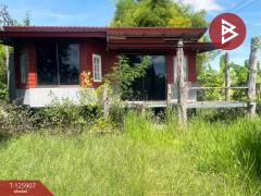 ขายที่ดินพร้อมสิ่งปลูกสร้าง เนื้อที่ 7 ไร่ ประโคนชัย บุรีรัมย์-202511051527551762331275149.jpg