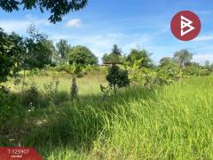 ขายที่ดินพร้อมสิ่งปลูกสร้าง เนื้อที่ 7 ไร่ ประโคนชัย บุรีรัมย์-202511051527551762331275820.jpg