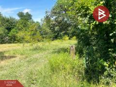 ขายที่ดินพร้อมสิ่งปลูกสร้าง เนื้อที่ 7 ไร่ ประโคนชัย บุรีรัมย์-202511051527561762331276496.jpg