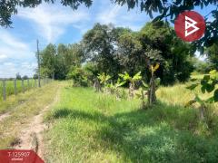 ขายที่ดินพร้อมสิ่งปลูกสร้าง เนื้อที่ 7 ไร่ ประโคนชัย บุรีรัมย์-202511051527571762331277176.jpg