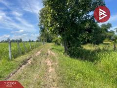 ขายที่ดินพร้อมสิ่งปลูกสร้าง เนื้อที่ 7 ไร่ ประโคนชัย บุรีรัมย์-202511051527581762331278051.jpg