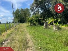 ขายที่ดินพร้อมสิ่งปลูกสร้าง เนื้อที่ 7 ไร่ ประโคนชัย บุรีรัมย์-202511051527591762331279018.jpg