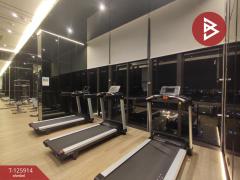 ขายคอนโด เซียล่า จรัญฯ13 สเตชั่น (Ciela Charan13 Station) กรุงเทพมหานคร-202511051543501762332230508.jpg