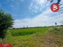 ขายที่ดิน เนื้อที่ 4 ไร่ 63 ตร.วา สองพี่น้อง สุพรรณบุรี-202511051548121762332492799.jpg