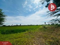 ขายที่ดิน เนื้อที่ 4 ไร่ 63 ตร.วา สองพี่น้อง สุพรรณบุรี-202511051548131762332493516.jpg