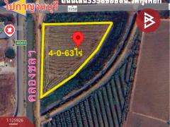 ขายที่ดิน เนื้อที่ 4 ไร่ 63 ตร.วา สองพี่น้อง สุพรรณบุรี-202511051548141762332494054.jpg
