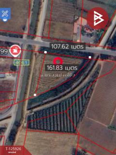 ขายที่ดิน เนื้อที่ 4 ไร่ 63 ตร.วา สองพี่น้อง สุพรรณบุรี-202511051548141762332494618.jpg