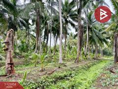 ขายที่ดิน เนื้อที่ 3 ไร่ 61.2 ตารางวา อัมพวา สมุทรสงคราม