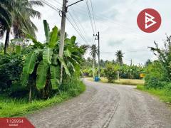 ขายที่ดิน เนื้อที่ 3 ไร่ 61.2 ตารางวา อัมพวา สมุทรสงคราม-202511051630561762335056523.jpg