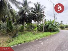 ขายที่ดิน เนื้อที่ 3 ไร่ 61.2 ตารางวา อัมพวา สมุทรสงคราม-202511051630571762335057616.jpg