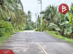 ขายที่ดิน เนื้อที่ 3 ไร่ 61.2 ตารางวา อัมพวา สมุทรสงคราม-202511051630581762335058161.jpg