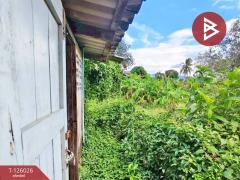 ขายที่ดินพร้อมสิ่งปลูกสร้าง เนื้อที่ 1 งาน 72.8 ตร.วา จันทนิมิต จันทบุรี-202511051647511762336071864.jpg