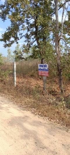 สนใจมีที่สวยๆสักแปลงโซนนี้ไหม ขายที่สวยติดทางหลวง1107 บ้านตาก จ.ตาก คมนาคมสะดวก ไร่ละ 300000 ต.ตากตก อ.บ้านตาก  จ.ตาก  0837124115