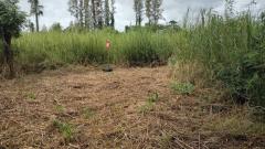 ขายที่ดินแปลงสวย ริมถนนเพชรเกษม ขาออก หัวหิน–ปราณบุรี ถูกสุดในย่านนี้! โทร 0889244695-202511052339501762360790520.jpg