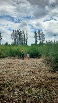 ขายที่ดินแปลงสวย ริมถนนเพชรเกษม ขาออก หัวหิน–ปราณบุรี ถูกสุดในย่านนี้! โทร 0889244695-202511052339511762360791002.jpg