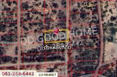 LU-984867 ที่ดินเวียงหนองล่อง 2 ไร่ ลำพูน ใกล้ที่ว่าการอำเภอเวียงหนองล่อง-202511061034531762400093709.jpg