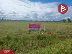 ขายที่ดิน-เนื้อที่-2-ไร่-องครักษ์-นคร