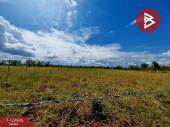 ขายที่ดิน เนื้อที่ 2 ไร่ องครักษ์ นครนายก-202511061046061762400766776.jpg