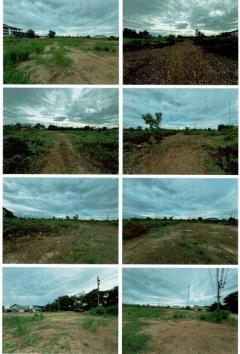 ขายที่ดินแปลงใหญ่ 16ไร่ 2งาน 77ตร.วา - ลาดหลุมแก้ว ปทุมธานี โทร 090-8982918 ราคาต่ำกว่าตลาด-202511061115151762402515188.jpg