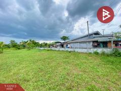 ขายที่ดิน เนื้อที่ 1 ไร่ 3 งาน 22.5 ตารางวา ชะอวด นครศรีธรรมราช-202511061243111762407791017.jpg