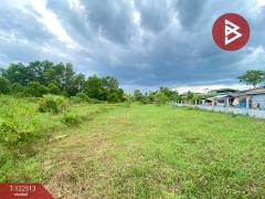 ขายที่ดิน เนื้อที่ 1 ไร่ 3 งาน 22.5 ตารางวา ชะอวด นครศรีธรรมราช-202511061243111762407791551.jpg