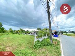 ขายที่ดิน เนื้อที่ 1 ไร่ 3 งาน 22.5 ตารางวา ชะอวด นครศรีธรรมราช-202511061243121762407792625.jpg