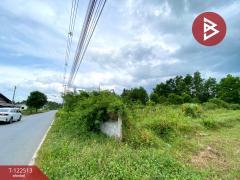 ขายที่ดิน เนื้อที่ 1 ไร่ 3 งาน 22.5 ตารางวา ชะอวด นครศรีธรรมราช-202511061243131762407793170.jpg