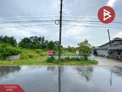 ขายที่ดิน เนื้อที่ 1 ไร่ 3 งาน 22.5 ตารางวา ชะอวด นครศรีธรรมราช-202511061243141762407794232.jpg