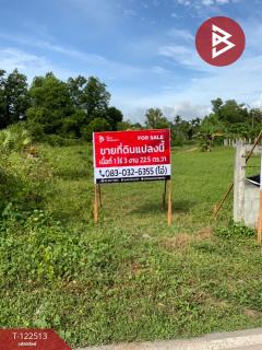 ขายที่ดิน เนื้อที่ 1 ไร่ 3 งาน 22.5 ตารางวา ชะอวด นครศรีธรรมราช-202511061243151762407795296.jpg