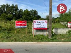 ขายที่ดิน เนื้อที่ 1 ไร่ 3 งาน 22.5 ตารางวา ชะอวด นครศรีธรรมราช-202511061243151762407795844.jpg