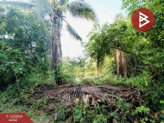 ขายที่ดินพร้อมสิ่งปลูกสร้าง เนื้อที่ 1 ไร่ 2 งาน 47 ตร.วา มหาชัย สมุทรสาคร-202511061525301762417530889.jpg