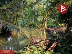 ขายที่ดินพร้อมสิ่งปลูกสร้าง เนื้อที่ 1 ไร่ 2 งาน 47 ตร.วา มหาชัย สมุทรสาคร-202511061525311762417531565.jpg