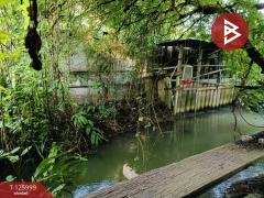 ขายที่ดินพร้อมสิ่งปลูกสร้าง เนื้อที่ 1 ไร่ 2 งาน 47 ตร.วา มหาชัย สมุทรสาคร-202511061525321762417532116.jpg