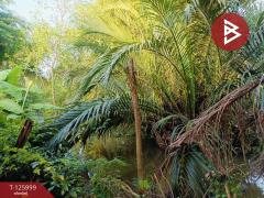 ขายที่ดินพร้อมสิ่งปลูกสร้าง เนื้อที่ 1 ไร่ 2 งาน 47 ตร.วา มหาชัย สมุทรสาคร-202511061525321762417532653.jpg