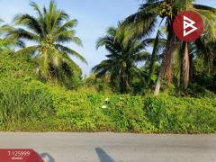 ขายที่ดินพร้อมสิ่งปลูกสร้าง เนื้อที่ 1 ไร่ 2 งาน 47 ตร.วา มหาชัย สมุทรสาคร-202511061525341762417534106.jpg