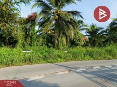 ขายที่ดินพร้อมสิ่งปลูกสร้าง เนื้อที่ 1 ไร่ 2 งาน 47 ตร.วา มหาชัย สมุทรสาคร-202511061525341762417534654.jpg