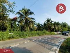 ขายที่ดินพร้อมสิ่งปลูกสร้าง เนื้อที่ 1 ไร่ 2 งาน 47 ตร.วา มหาชัย สมุทรสาคร-202511061525351762417535735.jpg