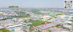 ที่สวยเทพ 3.5 ไร่ พื้นที่สีม่วง สร้างโรงงานได้ทุกประเภท ถมพร้อมใช้ พร้อมรั้ว 50% เทรลเลอร์สบาย ใกล้ ถ.เอกชัย และ พระราม 2 เพียง 1 กม. - KK4082S-202511061527461762417666439.jpg