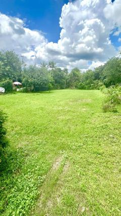 ขายที่ดินทำดี-ต.สุเทพ-114-ตรว.4.9ล้าน(โอน